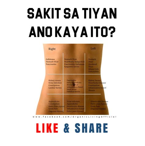 natatae pero walang lumalabas|Sintomas Ng Gastroenteritis: Heto Ang Mga Dapat .